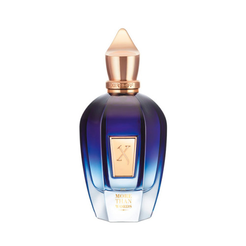XERJOFF MORE THAN WORDS EDP 100ML